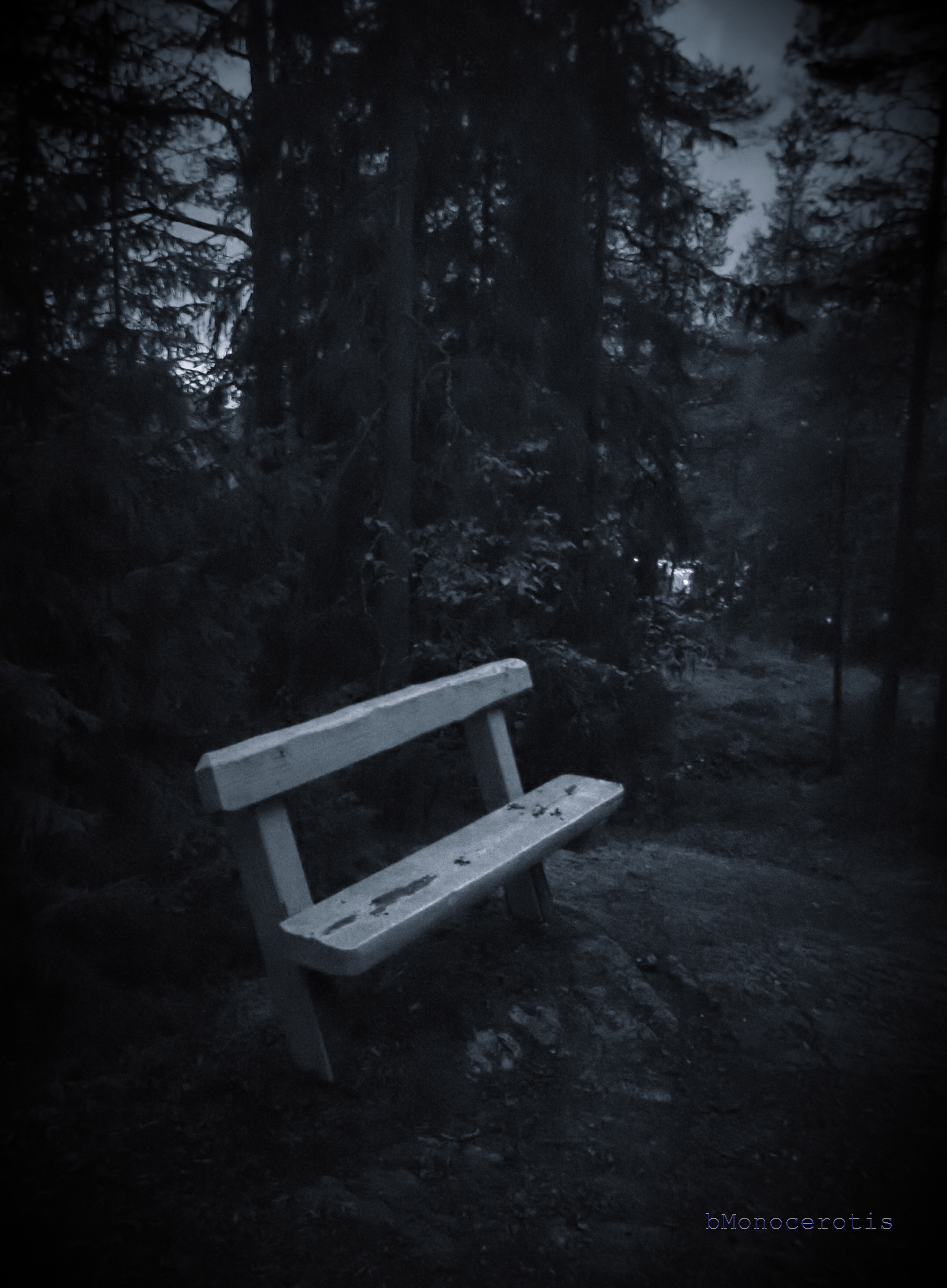 have a seat / in the forest at night / wait for the owls